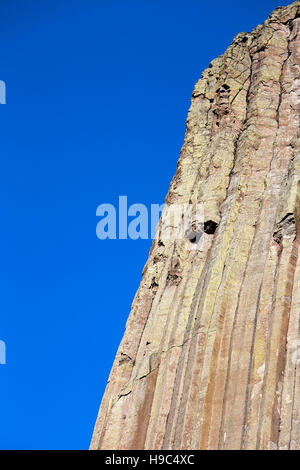 Devils Tower formazioni di roccia contro il cielo blu, sfondo naturale, un laccolith butte composto di roccia ignea al Bear Lodge montagne, STATI UNITI D'AMERICA. Foto Stock