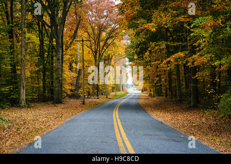Colore di autunno lungo Carmichael Road, vicino all isola di Wye, Maryland. Foto Stock