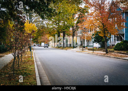 Colore di autunno e case lungo Goldsborough Street, a Easton, Maryland. Foto Stock