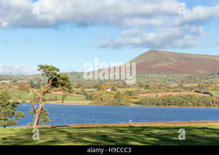 Lago Llangorse, 'Llyn Syfaddon' e Mynydd Llangorse montagna, Parco Nazionale di Brecon Beacons, Wales, Regno Unito Foto Stock