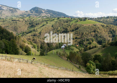 Piatra Craiului Parco Nazionale di montagne e colline in Transilvania, Romania. Foto Stock