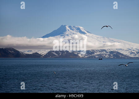 Coperta di neve Beerenberg vulcano ( 2,277m) su Jan Mayen isola vulcanica nell'Oceano Artico in primavera Foto Stock