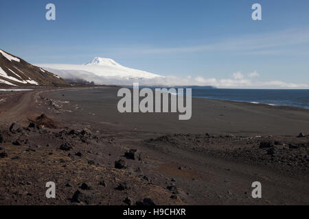 Spiaggia di sabbia nera e coperta di neve Beerenberg vulcano ( 2,277m) su Jan Mayen isola vulcanica nell'Oceano Artico in primavera Foto Stock