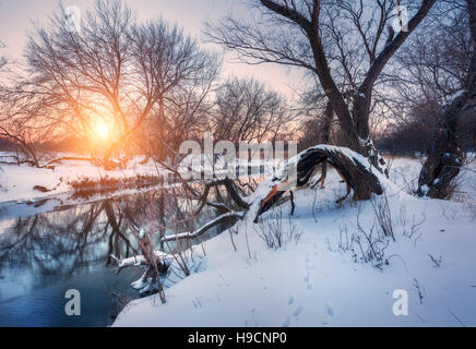 Winter landscape with trees, beautiful river at sunset. Winter forest in the evening. Season. Scenery with winter trees Foto Stock