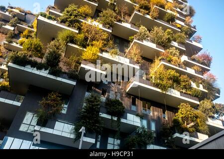 Bosco Verticale di edifici in autunno, presso la Porta Nuova complessa, Milano, Italia. è una coppia di torri residenziali in la Porta Nuova quartiere di Milano, Italia, tra Via Gaetano de Castillia e Via Federico Confalonieri nei pressi di Milano Porta Garibaldi stazione ferroviaria. Essi hanno un altezza di 111 metri (364 ft) e 76 metri (249 ft) e ospiterà più di 900 alberi (approssimativamente 550 e 350 alberi nella prima e nella seconda torri rispettivamente) su 8.900 metri quadrati (96.000 mq) di terrazze. Entro il complesso è anche un 11-storia edificio per uffici; la sua facciata non le piante ospite. Bosco Verticale in Foto Stock