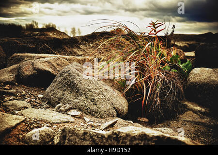 Estate montagna paesaggio. prato con enormi pietre tra l'erba sulla sommità della collina sotto il rainbow vicino al picco della gamma della montagna al tramonto Foto Stock