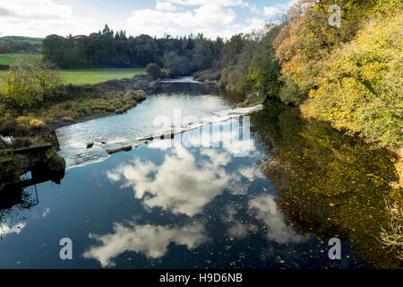 Il fascio Weir e autunno riflessioni sul fiume Torridge. Vista dal Tarka Trail vicino grande Torrington, Devon. Foto Stock