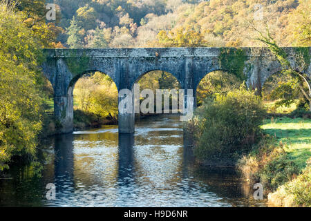 Tarka Trail Vista autunnale del fascio acquedotto sul fiume Torridge, grande Torrington, Devon. Foto Stock