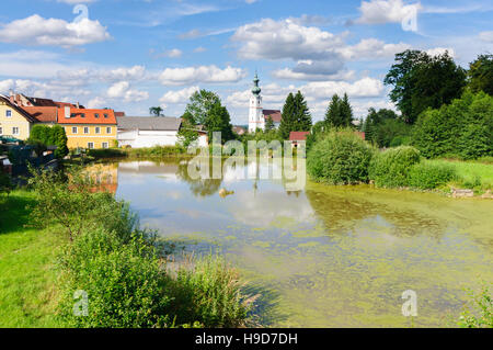 Kirchberg am Walde: chiesa, Waldviertel, Niederösterreich, Austria Inferiore, Austria Foto Stock