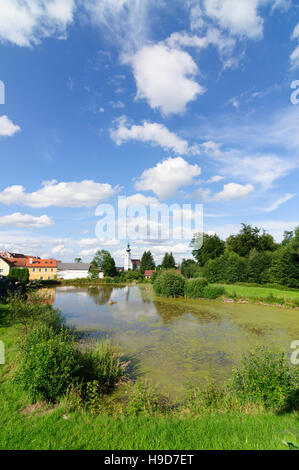 Kirchberg am Walde: chiesa, Waldviertel, Niederösterreich, Austria Inferiore, Austria Foto Stock