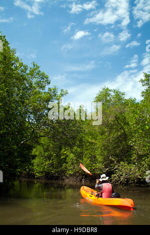 Una guida natura kayak nelle foreste di mangrovie di Langkawi. Un arcipelago di novanta nove isole clustered off lontano nord-occidentale della Malaysia Foto Stock