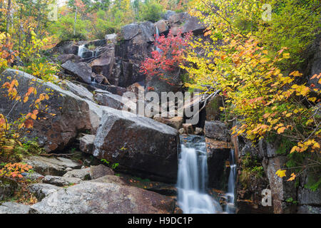 Zelanda cade su Whitewall Brook a Betlemme, New Hampshire USA su una giornata autunnale. Questa cascata si trova nei pressi di Zelanda cade capanna. Foto Stock