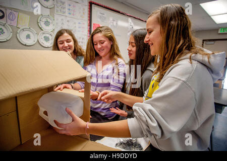 Mission Viejo, CA, la scuola media di studenti di sesso femminile improvvisare un filtro per la tempesta di acqua di scarico utilizzando una scatola di cartone, una bottiglia di plastica e carbone attivo nello stelo (Scienza, Tecnologia e Ingegneria Matematica) lab. Foto Stock