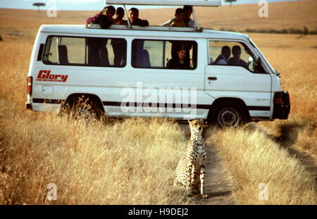 Ghepardo (Acinonyx jubatus) e safari turistici sulla vettura di Savannah, il Masai Mara, Kenya. Uno dei tipici aperto superiormente e furgoni con animali selvatici da osservare liv Foto Stock