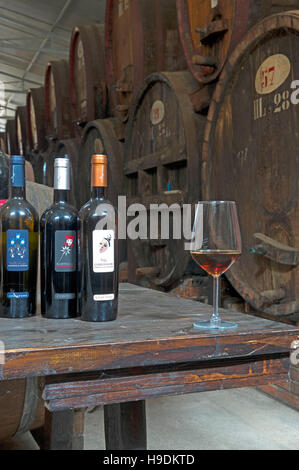 Una bellissima vista della cantina Contini, vitigno Vernaccia di Cabras, Sinis, Sardegna, Italia Foto Stock