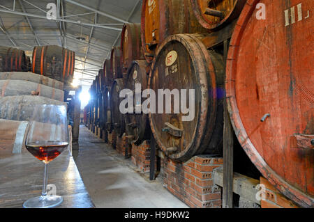 Una bellissima vista della cantina Contini, vitigno Vernaccia di Cabras, Sinis, Sardegna, Italia Foto Stock