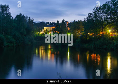 Zwettl: Carp Pond, Schloss Rosenau Castello, Waldviertel, Niederösterreich, Austria Inferiore, Austria Foto Stock