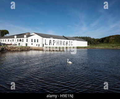 Laphroaig distilleria di whisky, magazzino, Islay, Ebridi Interne, Scotland, Regno Unito Foto Stock