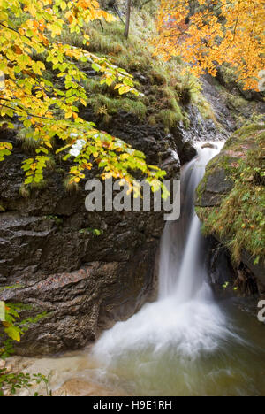 Mountain Creek nel Parco Nazionale Gesäuse, Stiria, Austria Foto Stock