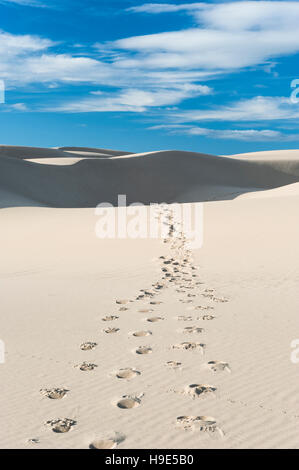 Pismo dune, California - una linea di impronte su dune di sabbia che conduce alla linea di orizzonte Foto Stock