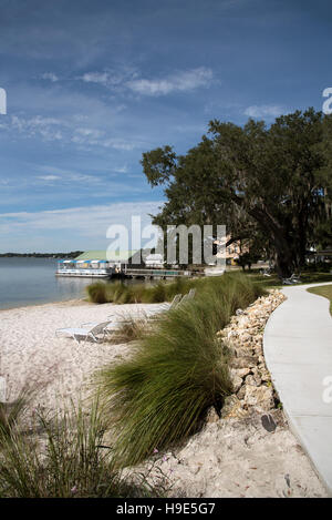 Supporto Dora Florida USA - Lago di Dora spiaggia sul lago Foto Stock