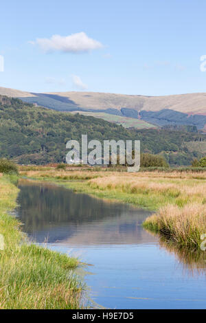 Ynys-hir RSPB riserva naturale accanto al Dyfi estuary in Ceredigion, Mid Wales, Regno Unito Foto Stock