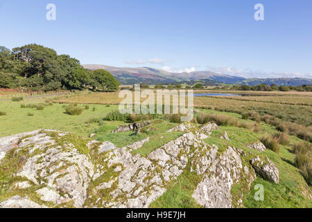 Ynys-hir RSPB riserva naturale accanto al Dyfi estuary in Ceredigion, Mid Wales, Regno Unito Foto Stock