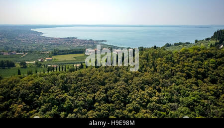 Vista aerea, Rocca di Garda, il Lago di Garda, Lago di Garda, Garda, Italia settentrionale, Veneto, Italia, Europa, vista aerea, uccelli-occhi Foto Stock