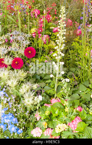 Fiori presso il Royal Norfolk Visualizza nel Showground , , Norwich Norfolk , Inghilterra , Inghilterra , Regno Unito Foto Stock