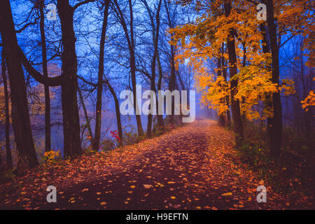 Un bluastro cancella la nebbia di mattina presso il Delaware e Raritan Canal di Franklin Township, NJ Foto Stock