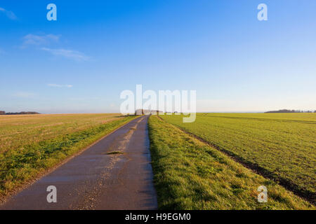 Un calcestruzzo farm via tra i campi di stoppia e piantina colture di cereali in Yorkshire wolds in autunno. Foto Stock