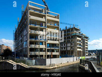 Il "Campo di cotone Wharf' blocchi di appartamenti in costruzione, dal campo di cotone marina Park, New Islington, Ancoats, Manchester, Inghilterra, Regno Unito Foto Stock