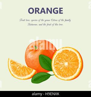 Arancione. Illustrazione Vettoriale Illustrazione Vettoriale