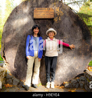 Sorridente giapponese madre e figlia in posa al ceppo di albero Foto Stock