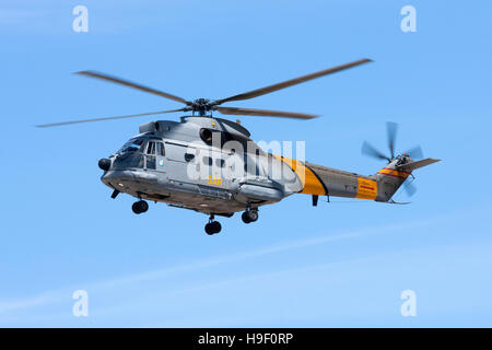 Spanish Air Force Aérospatiale SA-330L Puma in arrivo a terra lungo la pista 32. Foto Stock