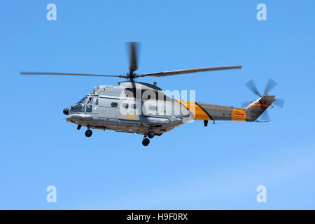 Spanish Air Force Aérospatiale SA-330L Puma in arrivo a terra lungo la pista 32. Foto Stock