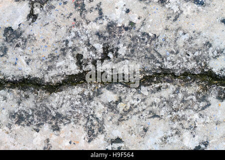 Frammento crepa sul pavimento di cemento sullo sfondo Foto Stock