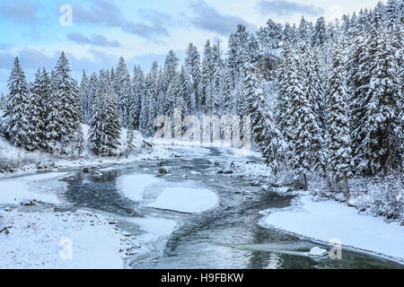 Lamar fiume in inverno al di sopra di slough creek nel parco nazionale di Yellowstone, wyoming Foto Stock