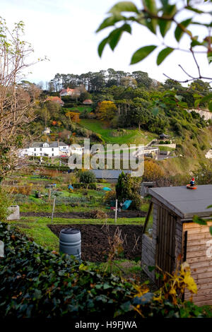 Assegnazioni che si affaccia sulla costa a birra Devon West Country UK Foto Stock
