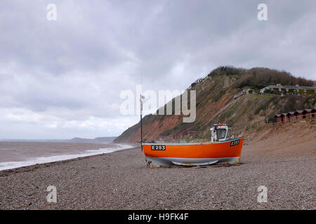 Branscombe Bay Beach sulla costa sud in East Devon West Country UK Novembre 2016 Foto Stock