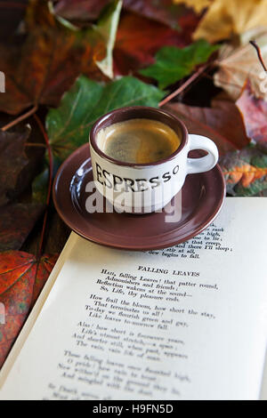 Caffè espresso sulla poesia e foglie di autunno Foto Stock