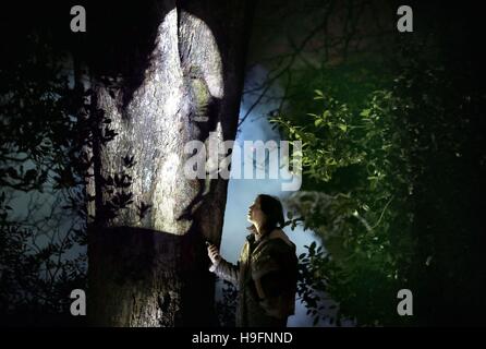 La luce e la nebbia trasformare Edimburgo di George Square Gardens con TENEBROSE FIGURE proiettata su alberi a formare parte di 'l'influenza della macchina', un coinvolgente outdoor esperienza scultorea dall artista americano Tony Oursler. Foto Stock