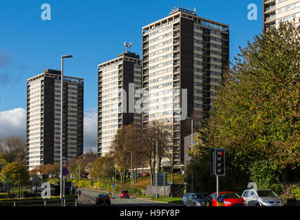 Banca College appartamenti, Rochdale, costruito 1963-65. Conosciuto localmente come "sette sorelle". Rochdale, Greater Manchester, Inghilterra, Regno Unito Foto Stock