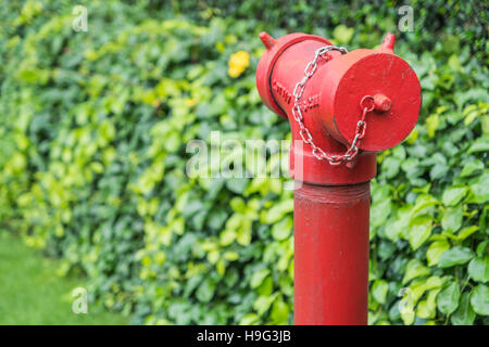 Rosso fuoco idrante circondato da erba verde Foto Stock