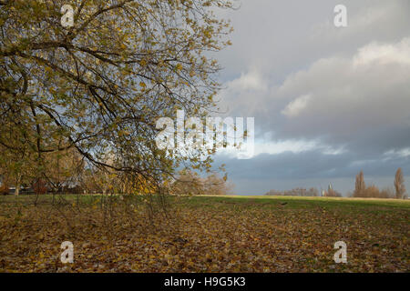 Londra Brockwell Park 22 Novembre 2016 - 08.30 Foto Stock