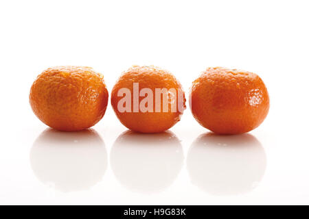 Tre mandarini arance (Citrus reticulata) Foto Stock