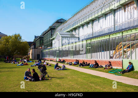 Serra nel Jardin des Plantes a Parigi, Francia Foto Stock