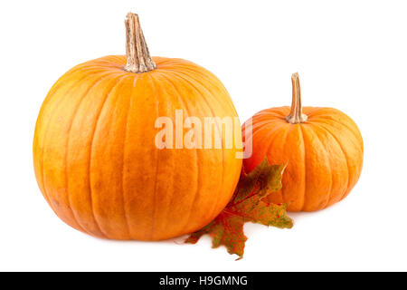 Squash con caduta foglie sul bianco. Zucche arancione isolati su sfondo bianco Foto Stock