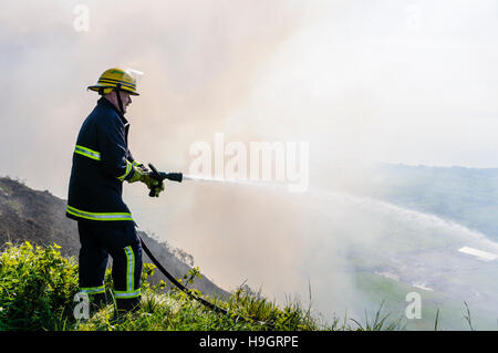 Carrickfergus, Irlanda del Nord. 02 giu 2008 - i vigili del fuoco di affrontare una grande gorse fire sul lato di una collina a Knockagh Foto Stock