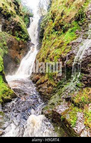 Le cascate di Glenariff Forest Park, uno dei sette Glens di Antrim, County Antrim, Irlanda del Nord Foto Stock
